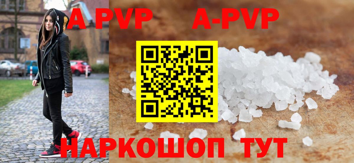 Альфа ПВП СК Шахты