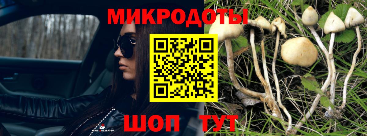 Псилоцибиновые грибы Magic Shrooms Шахты